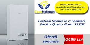 Beretta 25 CSI green