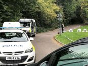 Tanar acuzat de tentativa de omor si viol in Anglia