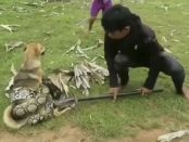 Trei copii salveaza un câine din strânsoarea unui sarpe