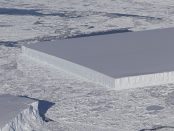 Un aisberg de forma perfect dreptunghiulara s-a desprins din platforma de gheata Larsen C