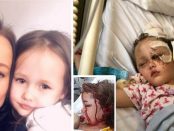 Fetiță sfâșiată de un pitbull agresiv