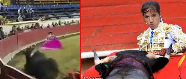 O femeie toreador din Mexic a fost schilodită în timpul unei lupte de un taur furios