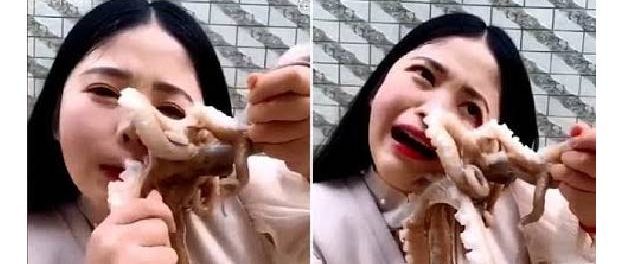 Vlogeriță mușcată de caracatiță în timp ce încerca să o mănânce crudă și vie Vlogeriță mușcată de caracatiță în timp ce încerca să o mănânce crudă și vie