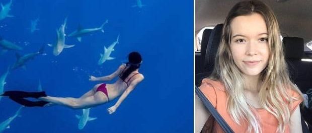 Tânără ucisă de rechini în fața părinților care asistau neputincioși Tânără ucisă de rechini în fața părinților care asistau neputincioși