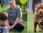 Băiețel de patru ani ucis de un pitbull în ciuda eforturilor disperate ale mamei sale