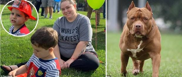 Băiețel de patru ani ucis de un pitbull în ciuda eforturilor disperate ale mamei sale