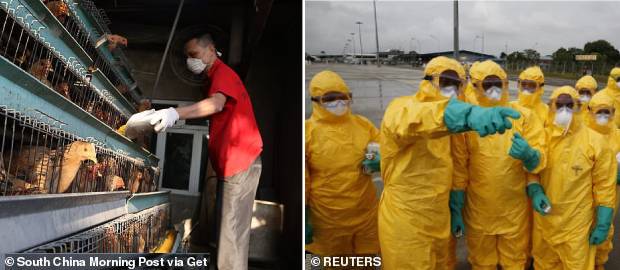 China lovită și de un focar de gripă aviară aproape de Wuhan
