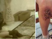 După ce și-au forțat băiatul să stea NOUĂ ORE PE GRĂUNȚE vor face șase ani de pușcărie