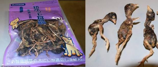 Vameșii au confiscat o pungă cu păsări moarte pe aeroport Vameșii au confiscat o pungă cu păsări moarte pe aeroport