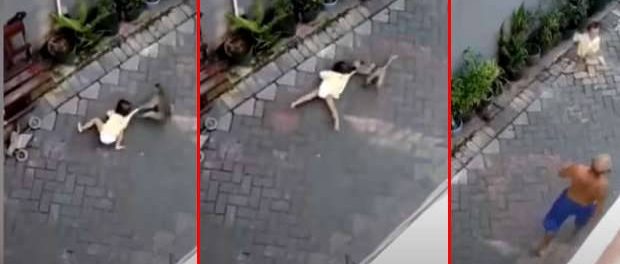 Momentul șocant în care o maimuță încearcă să RĂPEASCĂ UN COPIL de pe o bicicletă