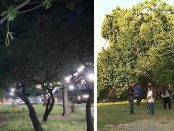 Șase persoane de culoare găsite spânzurate stârnesc suspiciuni de linșaj