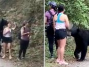 O femeie și-a făcut SELFIE cu un urs negru care s-a apropiat de ea pe munte