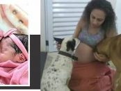 Un câine GELOS a sfâșiat două gemene nou-născute