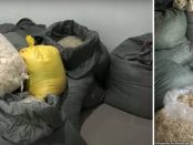 Poliția a confiscat 324000 de prezervative